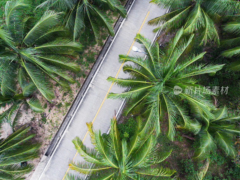 泰国的蜿蜒道路