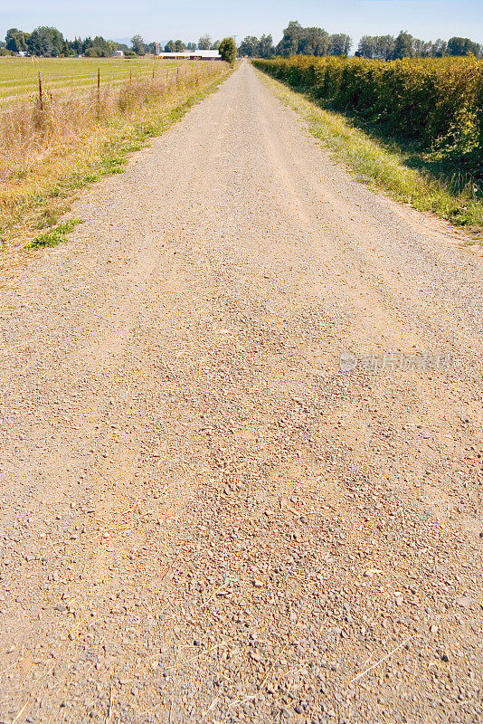 乡村道路:泥土和碎石