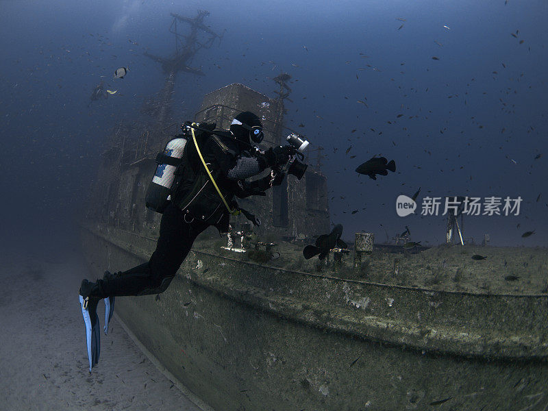 水下摄影师拍摄石斑鱼的照片