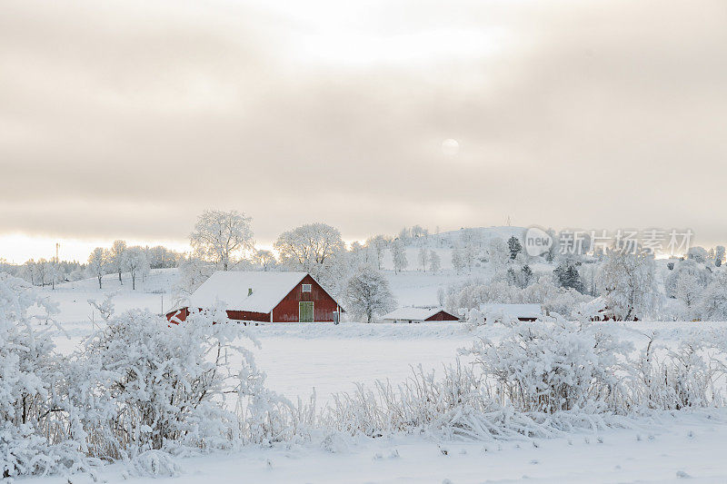 在一个田园诗般的冬季景观与霜雪的农舍