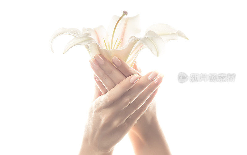优雅女人的手捧着一朵兰花的花蕾。手的皮肤护理。