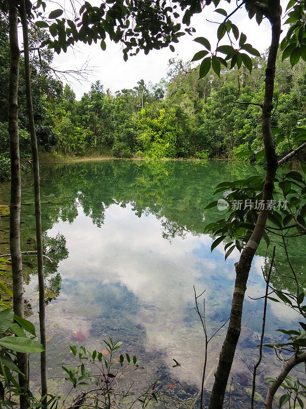 在甲米，绿树成荫的温泉池与清澈的水倒影在一起
