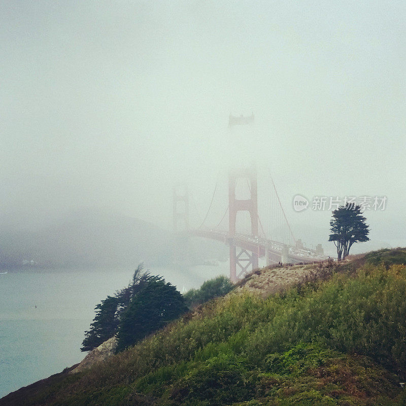 加州金门大桥的迷雾
