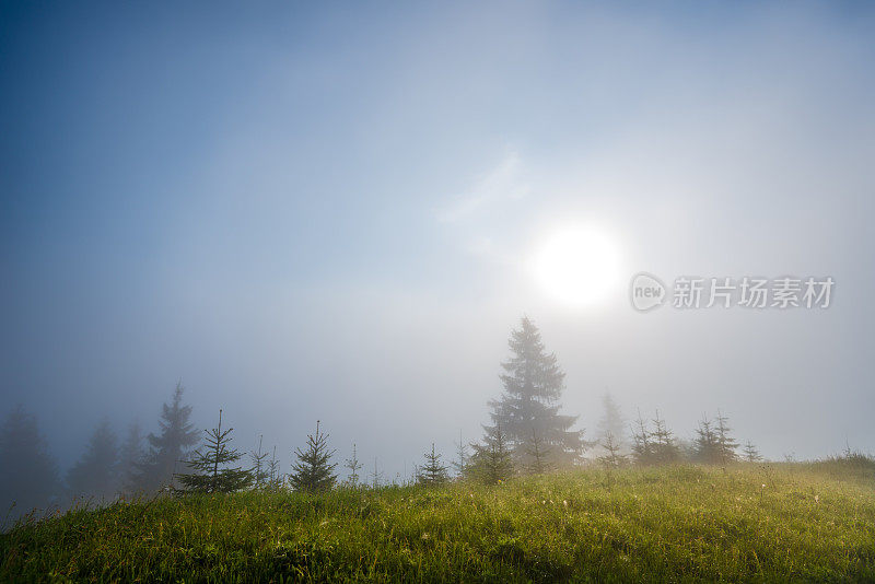 多雾的早晨的太阳