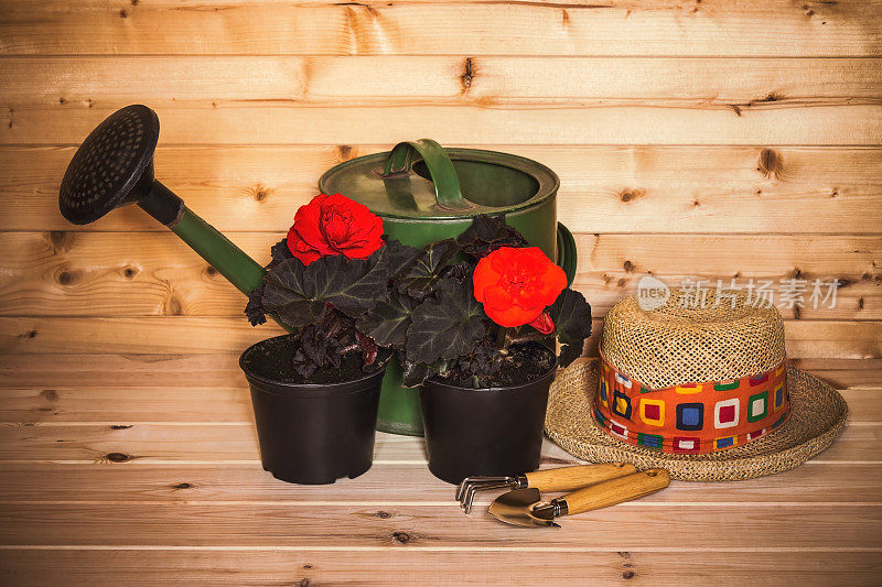 花苗，花帽，园艺工具和喷壶