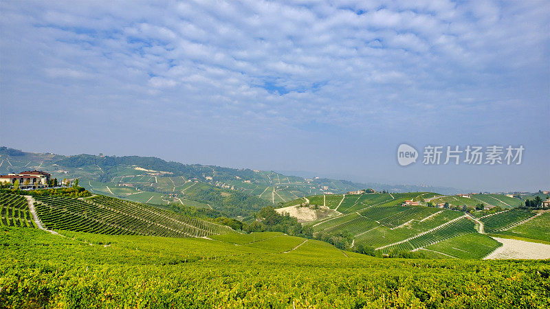 琅河是一个多山的地区，以葡萄种植为主，以巴罗洛葡萄酒的生产而闻名。库尼奥省，皮埃蒙特，意大利