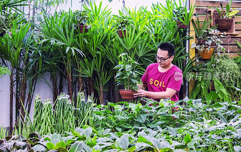 日本人种植植物。