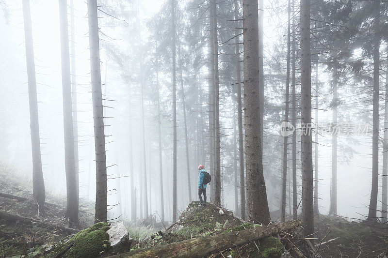 在雾蒙蒙的森林里的徒步旅行者