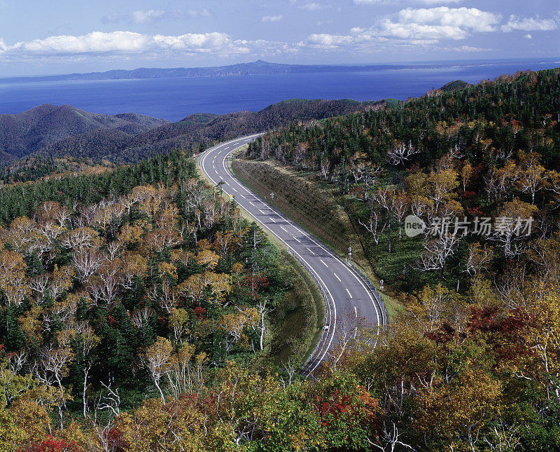 道路在知床