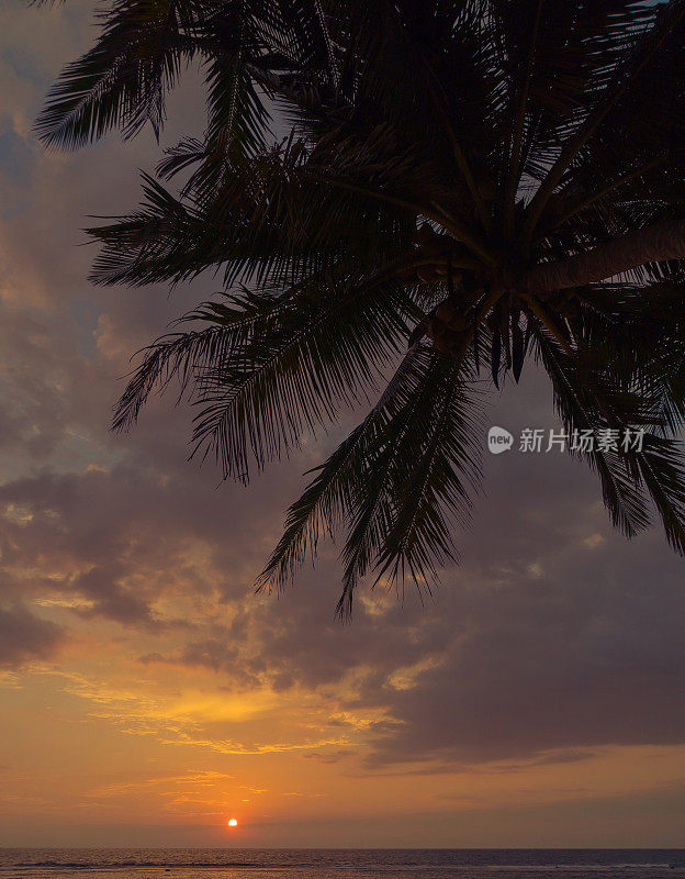印度洋海岸的日落。