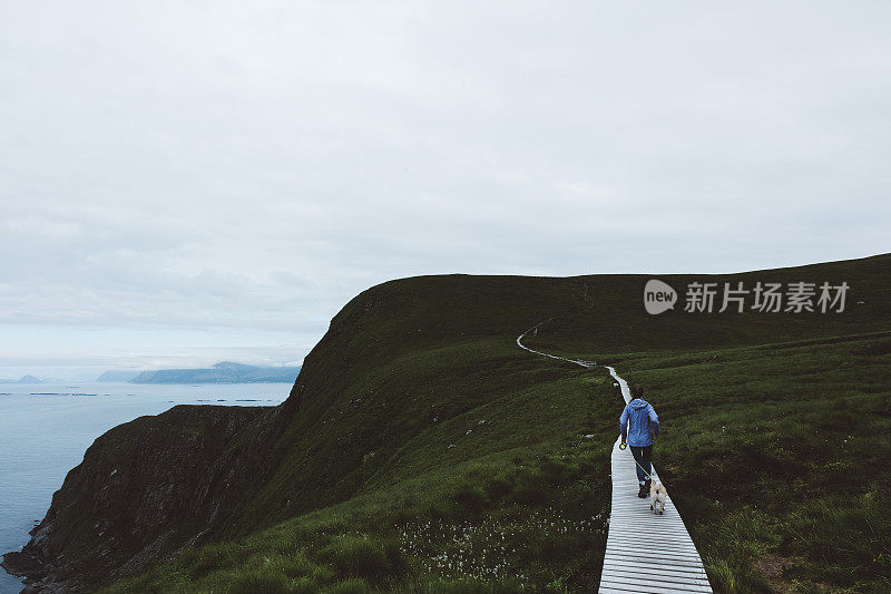 妇女和狗在挪威北部岛屿徒步旅行