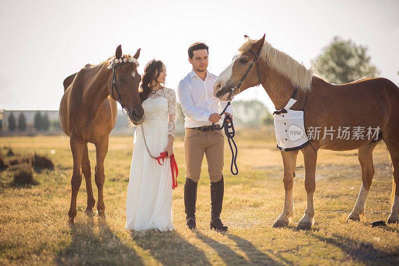 一对相爱的夫妇，马在谷仓里举行婚礼