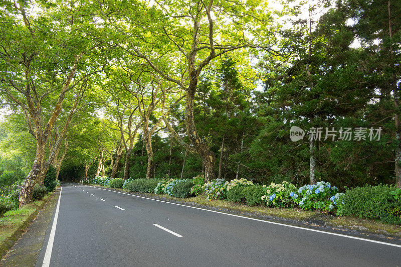 亚速尔群岛乡村公路