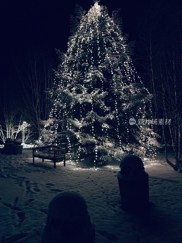 照亮了室外圣诞树的夜晚，白雪覆盖