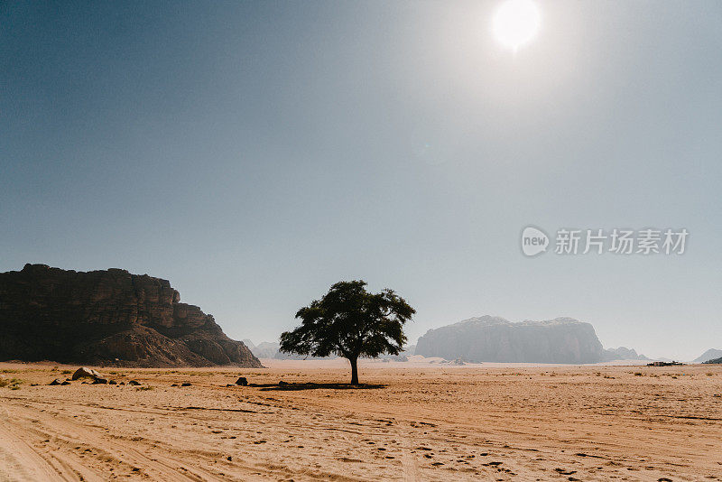 日落时分的瓦迪拉姆沙漠风景