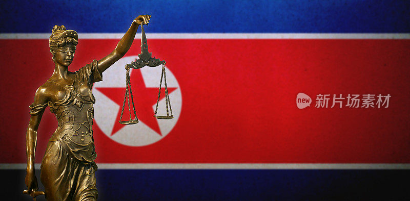 朝鲜国旗前的正义女神