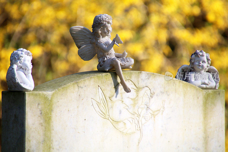 荷兰阿姆斯特丹市立公墓墓碑上的小天使雕像
