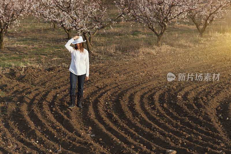 现代农妇走在棕色的农田里，在春天的背景下，果园里的树开花了。