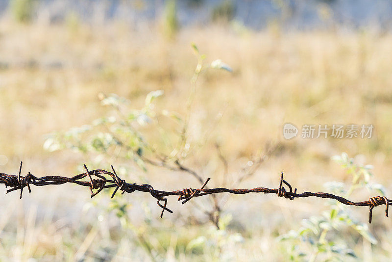 锈迹斑斑的铁丝网挡住了绿草上的霜冻