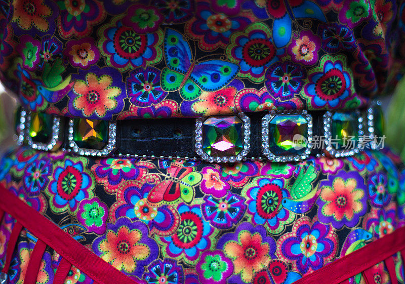 漂亮的皮带与莱茵石古董连衣裙