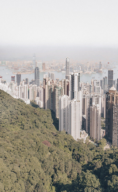 香港的天际线