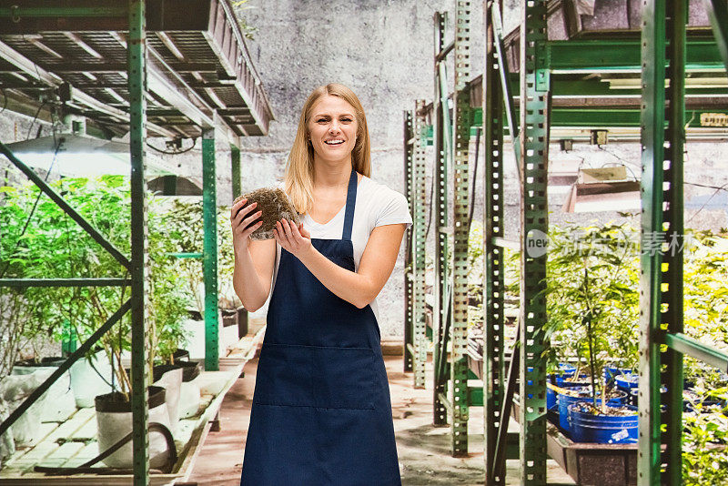 白人女性站在温室的农场穿着t恤，拿着大麻植物