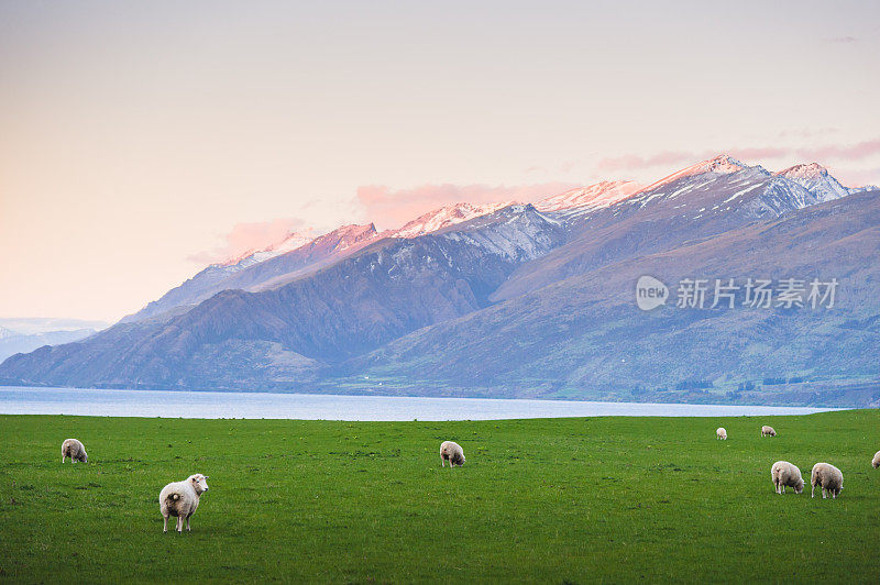 新西兰南岛是新西兰最著名的旅游景点