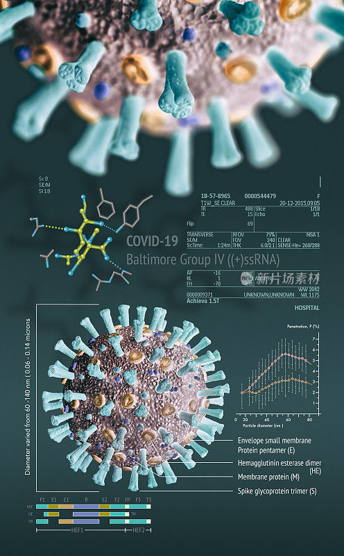 COVID-19冠状病毒信息图及其描述