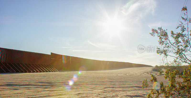 阳光照在前景的一棵树上，墨西哥和美国之间的钢条边境墙(美国一侧)在一个晴朗、阳光明媚的日子坐在背景