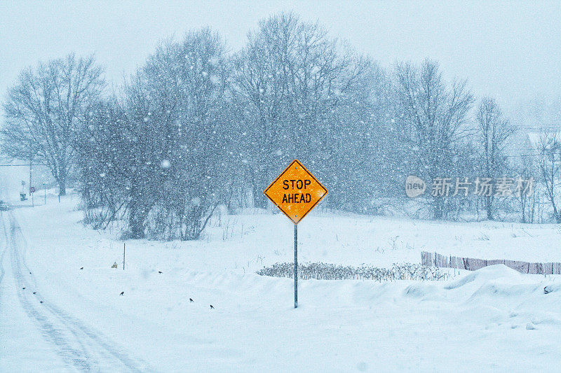 亮黄色停车标志在冬季暴风雪雪