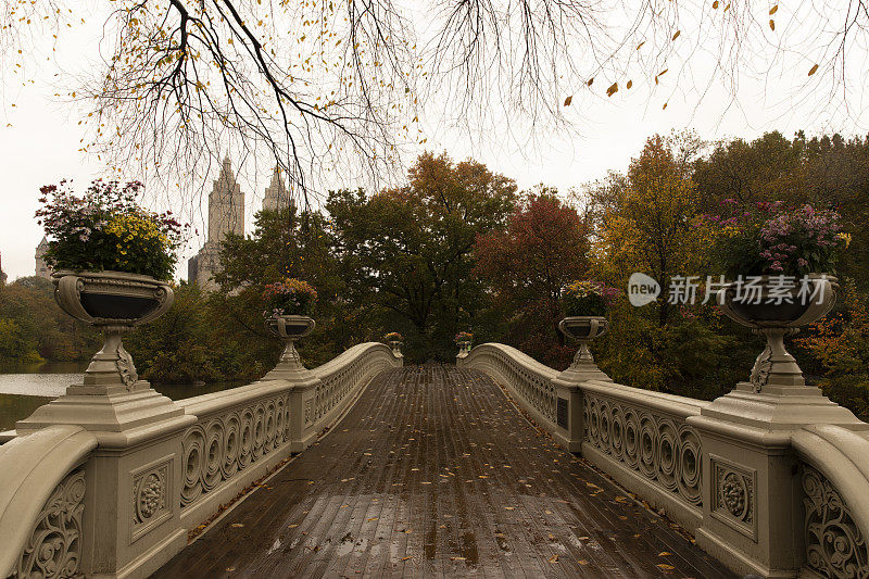 中央公园弓桥秋天