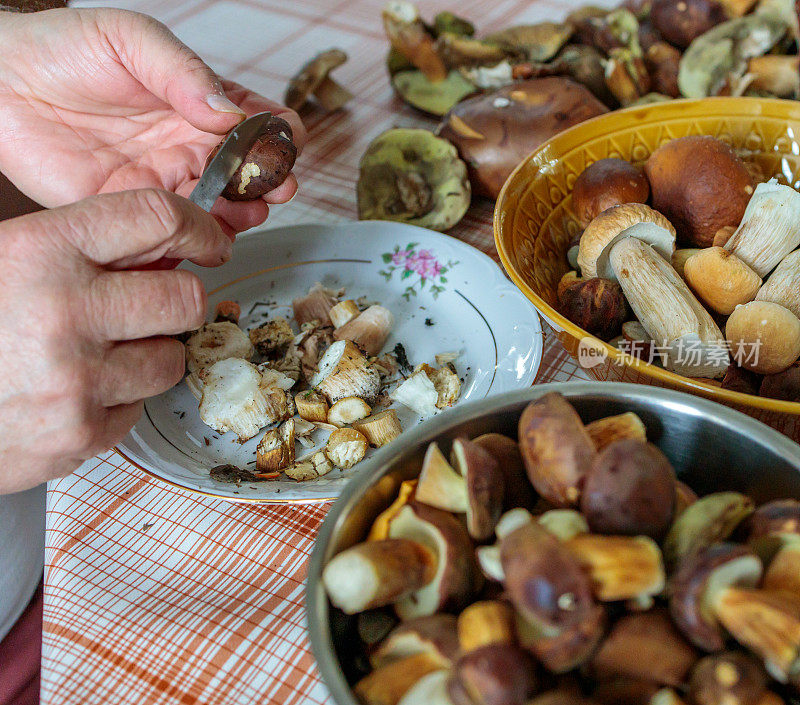 老人的双手在厨房桌子上的多个碗里清理和分类蘑菇