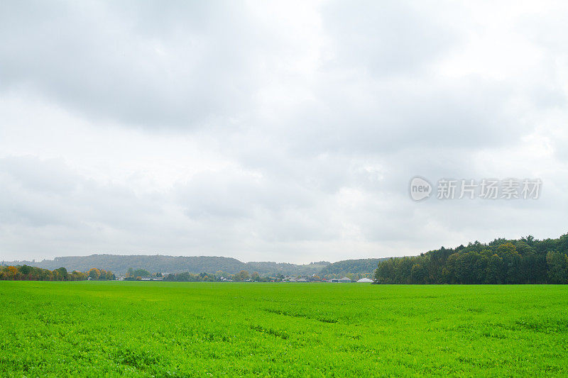 鲁尔山谷埃森凯特维格东郊的秋天田野和树林