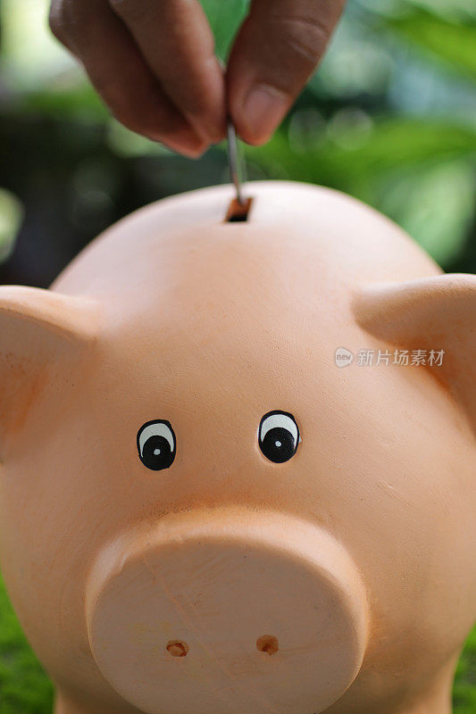 不可辨认的人将硬币放入小猪储蓄罐顶部的插槽看摄像头，家庭财务和储蓄概念的特写图像