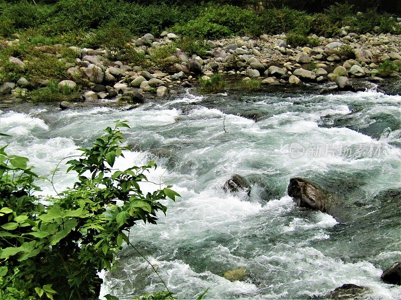 日本。7月。多雨的季节。湍急的河水在山间流淌