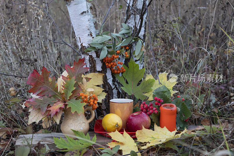 一杯白桦树下的茶，一支橙色的蜡烛，还有秋叶