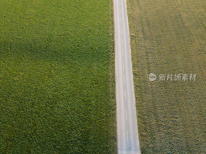 笔直的路，从上面看两边都是草