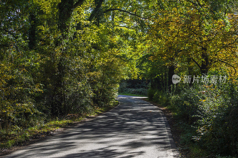 步行小径秋秋自然户外景观环境优美