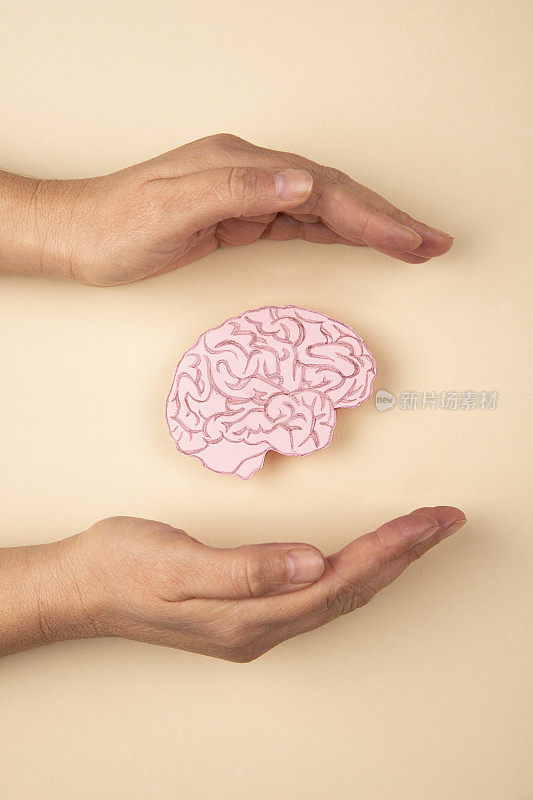 人类的大脑和手