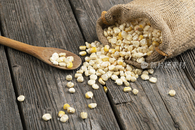 干玉米种子