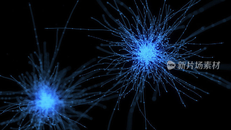 神经元系统全息图