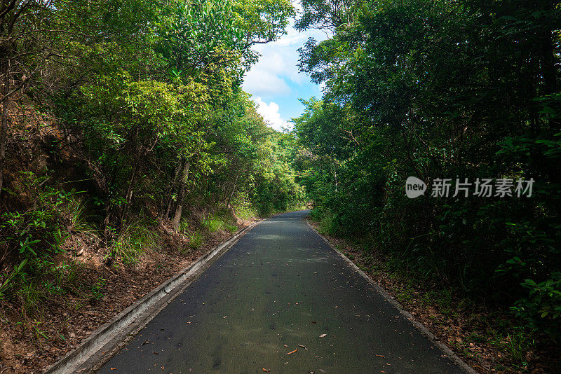 大潭笃水塘的一条小路