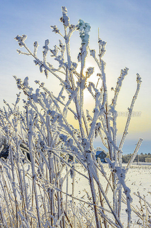 冰天雪地的冬季风景在零度以下的温度霜冻景观