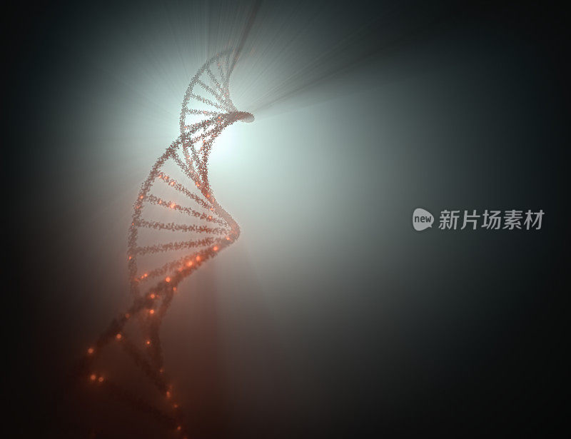 DNA分子螺旋遗传密码