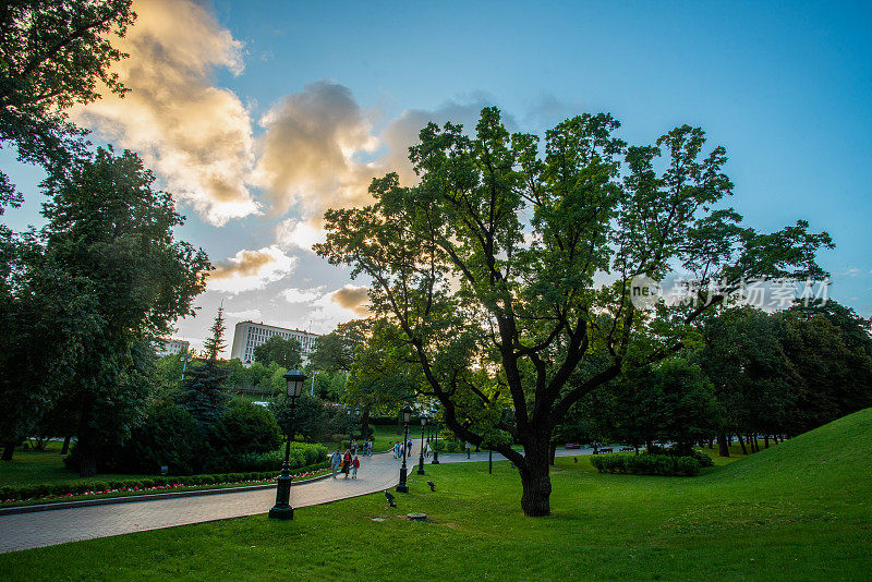 在莫斯科市中心亚历山德罗夫斯基公园田园般的日落景色。夏天公园里美丽的橡树!