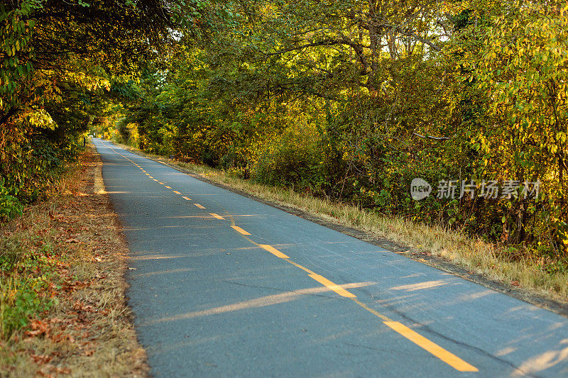 奔驰鹅地区小道