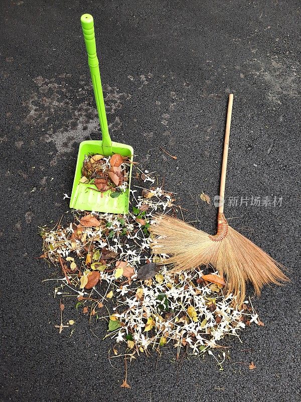 用扫帚和簸箕扫栓皮栎的花和叶。