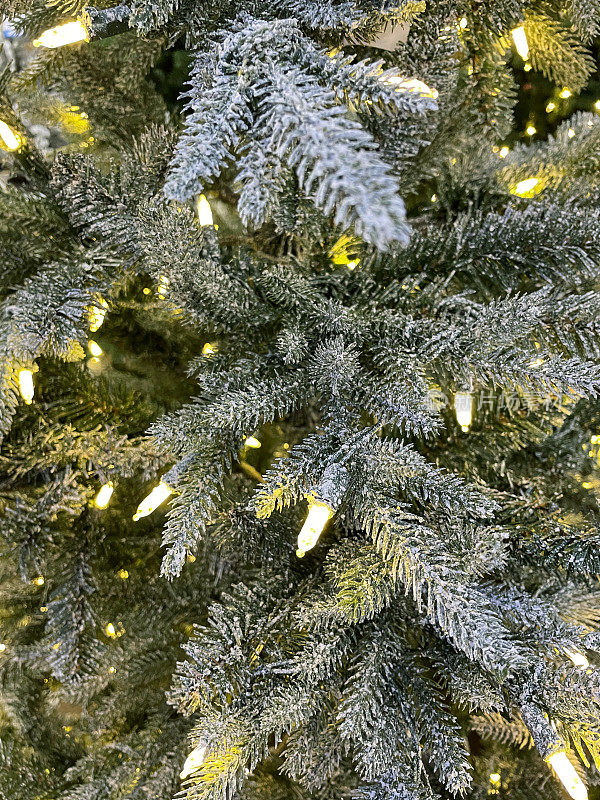 全帧图像的人造云杉圣诞树塑料针喷洒人造雪，装饰松果和白色，照明的精灵灯，黑色背景