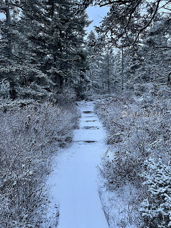 白雪皑皑的小道