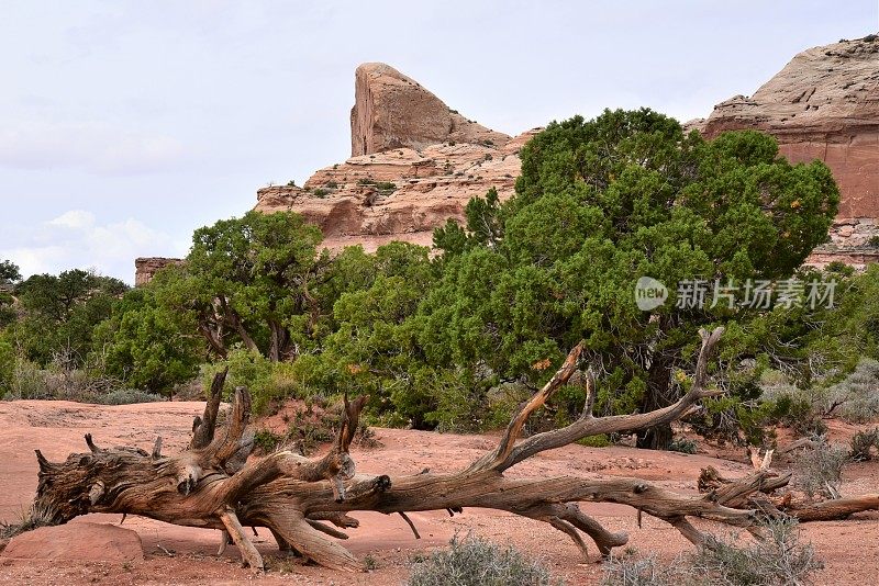 峡谷地岩石特征NP